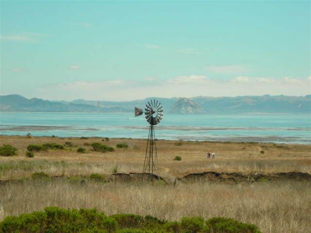 Estero Bay with Morro Rock in the Background.JPG